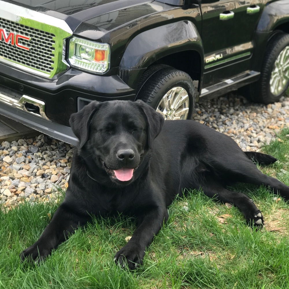 Meet your Posher, Gina